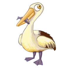 Pelikan